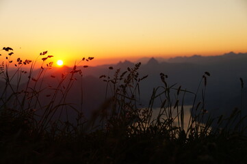 sunset over the river