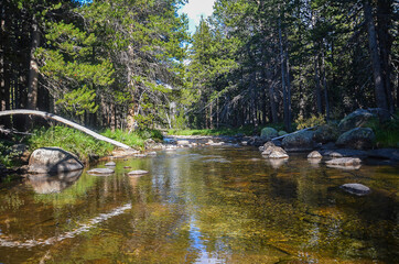  Yosemite-  National Park