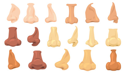 Cartoon human noses vector illustrations set. Different types of male nasal shapes by race isolated on white background. Anatomy, rhinoplasty, surgery concept