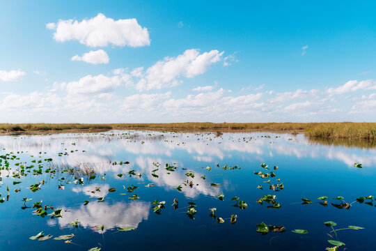 Reflection of clouds in lake at Everglades National Park