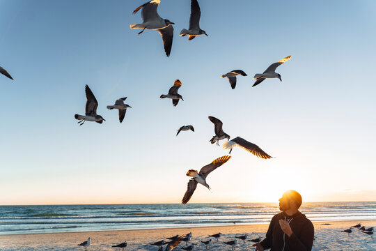 Seagulls flying over mid adult man against sky during sunset