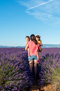 Mother carrying two baby daughters in vast lavender field during summer