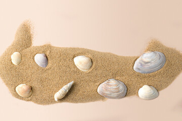 Summer beach concept with sea shells on the sand.