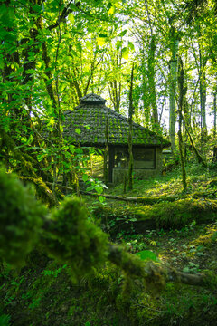 The roof of the house in a fairy forest. Dense forest and lake