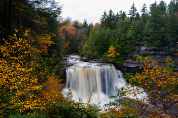 Blackwater Falls - Long Exposure Waterfall on Blackwater River in Autumn - Blackwater Falls State Park - Appalachian Mountains - West Virginia - 431994924