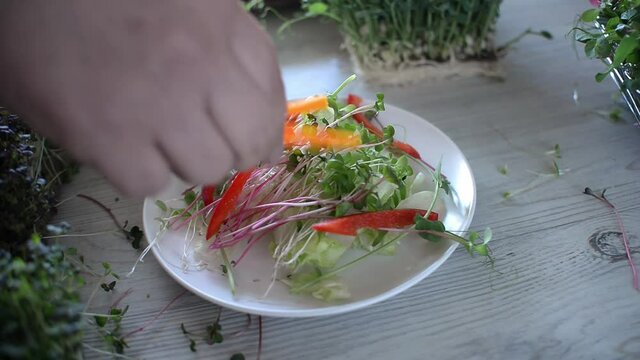 Fresh Homemade Vegetable Salad and Microgreens growing background with edible flowers. Seed Germination at home. Vegan and healthy eating concept.