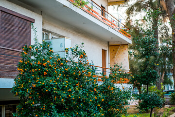 Fototapeta na wymiar beautiful streets of Athens with blocks of flats, cars and shops