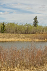 Pylypow on a Cloudy Spring Day