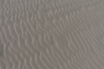 Obraz premium waves on the beach