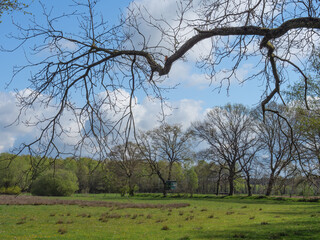 Die Dingdener Heide am Niederrhein