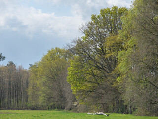 Die Dingdener Heide am Niederrhein