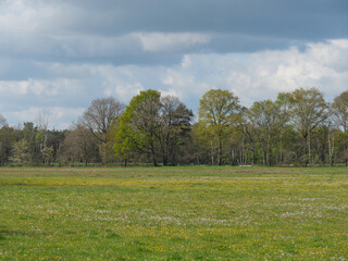 Die Dingdener Heide am Niederrhein