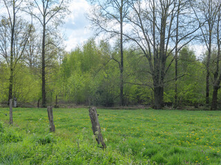 Die Dingdener Heide am Niederrhein