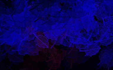 Dark Blue, Red vector natural artwork with leaves.