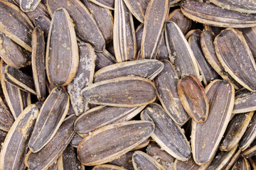 close-up of raw sunflower  seeds background