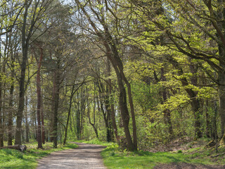 Die Dingdener Heide in Westfalen