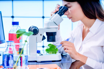 Young woman with microscope in GMO laboratory. Study of green plant of agricultural plants with a...