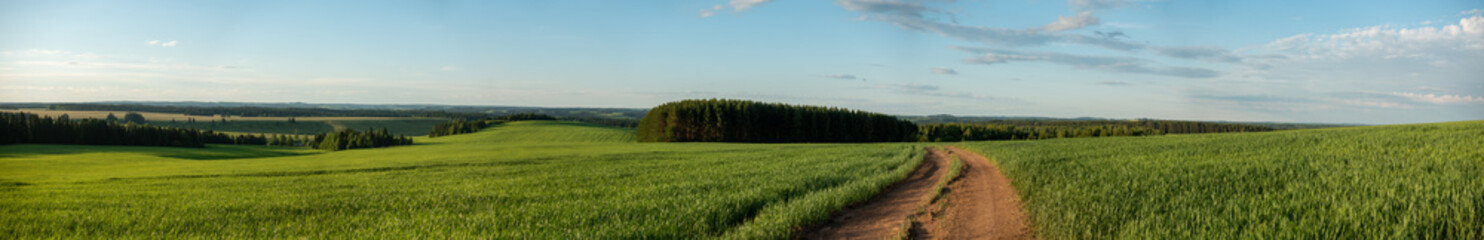 Fototapeta na wymiar Panorama of a green field and sky. Sunny summer landscape of a European village