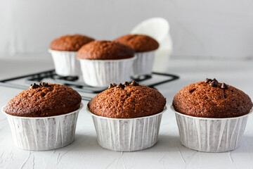 Chocolate muffins in paper forms on a gray background
