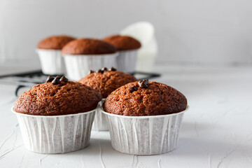 Chocolate muffins in paper forms on a gray background