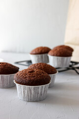 Chocolate muffins in paper forms on a gray background