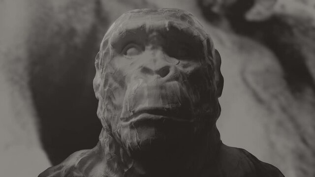 Ape or primitive, Neanderthal man head sculpture. 