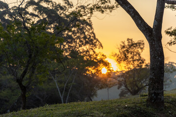 por do sol no parque do Carmo em SP. Sombras das &aacute;rvores contrastando com o brilho do Sol