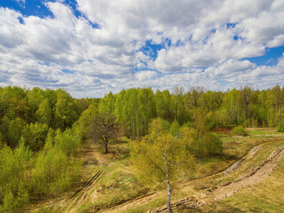 Fototapeta na wymiar Blooming spring landscape from a height