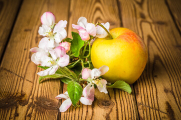 Ripe apple and blossoming branch of an apple-tree on a wooden su