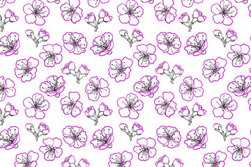 Blooming sakura seamless pattern. Hand drawn cherry flower