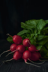 A bunch of fresh radishes lies on a dark wooden table, dark background, low key.