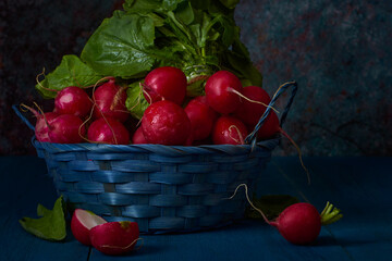 A blue wicker basket with bright red fresh radishes with green leaves stands on a blue wooden table.