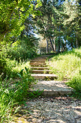 Escaleras en el parque y area natural de Fuente el Sol en Valladolid, España