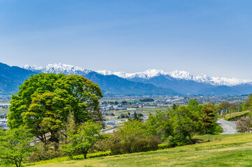 Fototapeta premium 池田町 クラフトパークからの風景