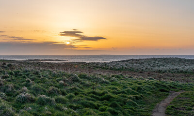 sunset over the field