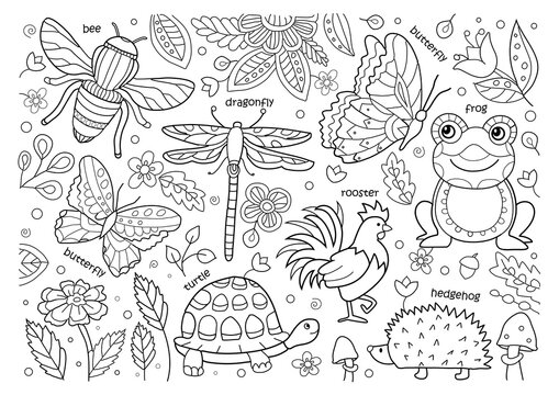 Educational coloring page for kids with animals names. Beautiful simple drawings with patterns. Coloring book with animals, insects. Cock, Hedgehog, turtle, Dragonfly, bee, ladybug, butterfly