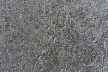 Fototapeta na wymiar Petrified lichen texture in full frame