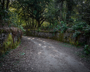 footpath in the park