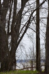 Fototapeta premium Natural reserve of Yamachiche peninsula