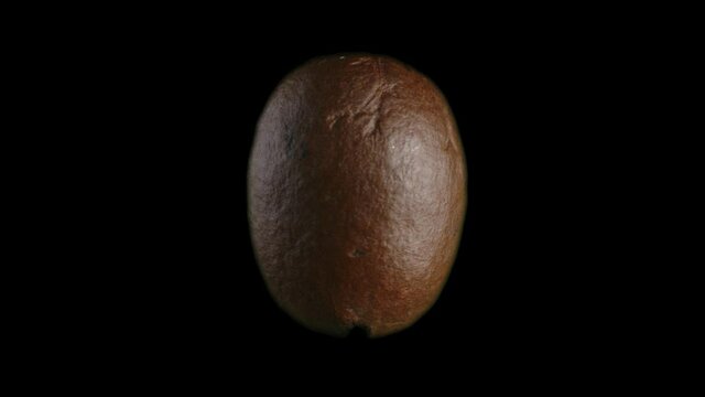 the coffee bean rotates slowly