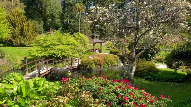 A static shot of the Japanese Garden at Powerscourt Estate.