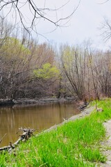 Natural reserve of Yamachiche peninsula
