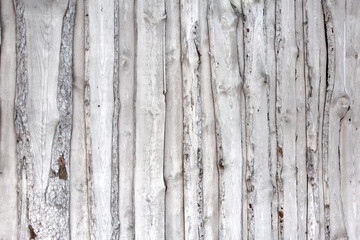 Obraz premium Wall texture of rough wooden planks painted with white paint