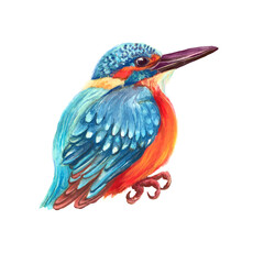 Watercolor colorful wild bird. White background.