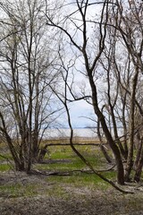 Natural reserve of Yamachiche peninsula