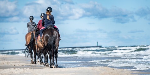 Jazda konna po plaży. Obóz jeździecki - obrazy, fototapety, plakaty