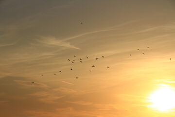 sunset over the sea