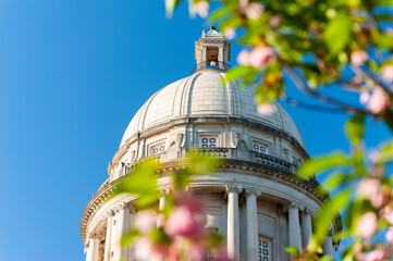 Kentucky State Capitol Dome Surrounded by Blooming Dogwood Trees - Beaux-Arts Architecture - Frankfort, Kentucky - 432008515