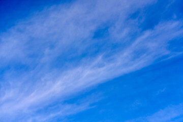 Fototapeta premium background of clouds of feather clouds on a blue sky.