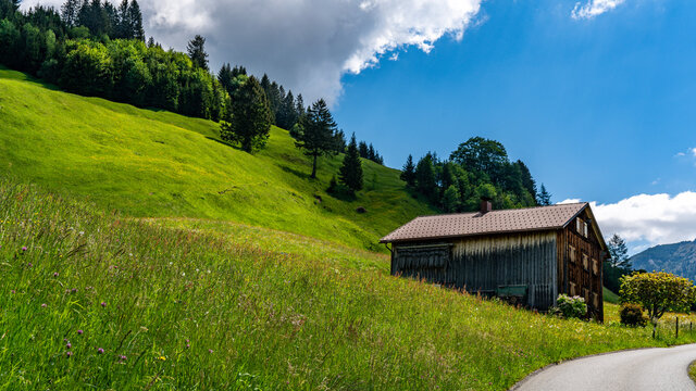 wooden house in the mountains on the walk to Steris Alp in the great valley of Walser. Hike across the flower-rich meadows in the Vorarlberg Alps. butterfly and flower colored the meadows in spring.